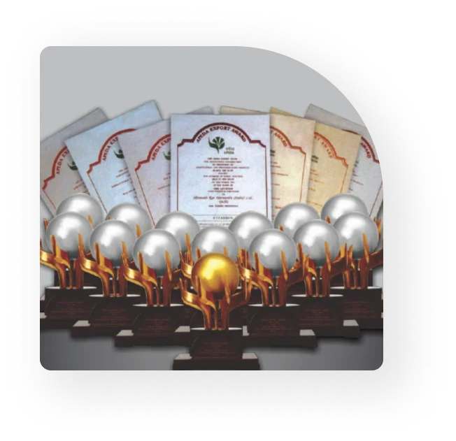 Awards and achivements - Shri Lal Mahal