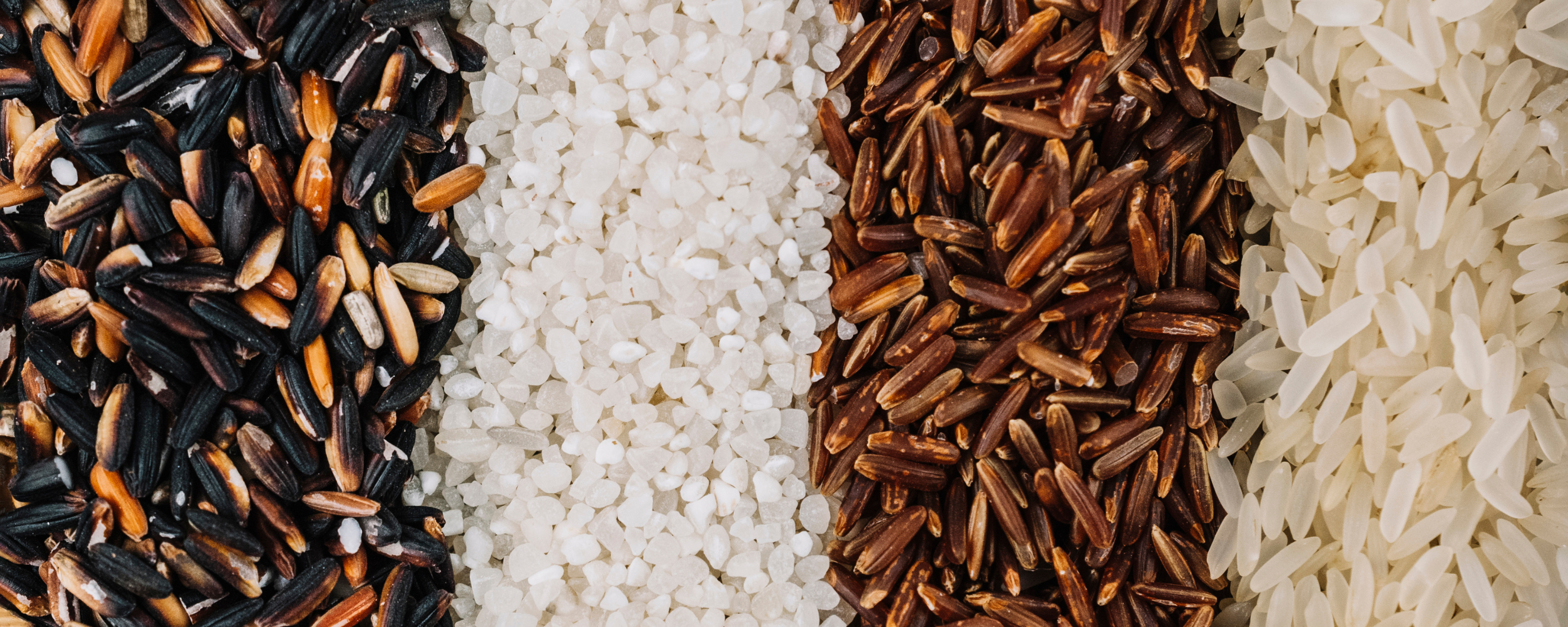 rice varieties image