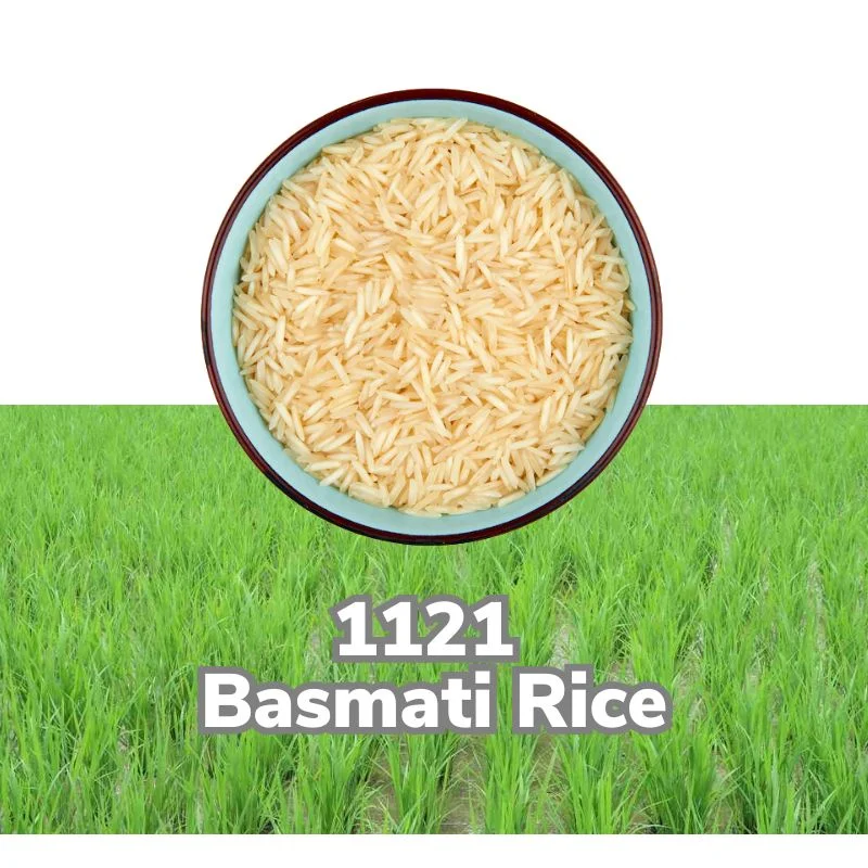 1121 basmati rice