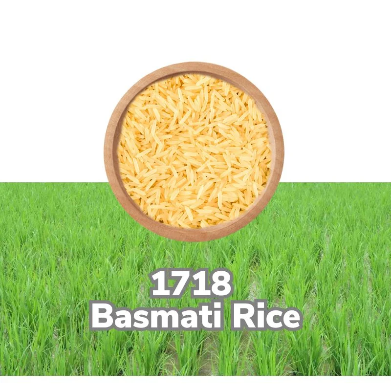 1718 basmati rice