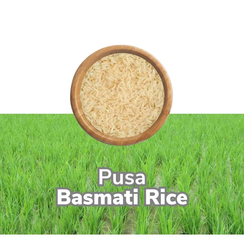 Pusa Basmati Rice