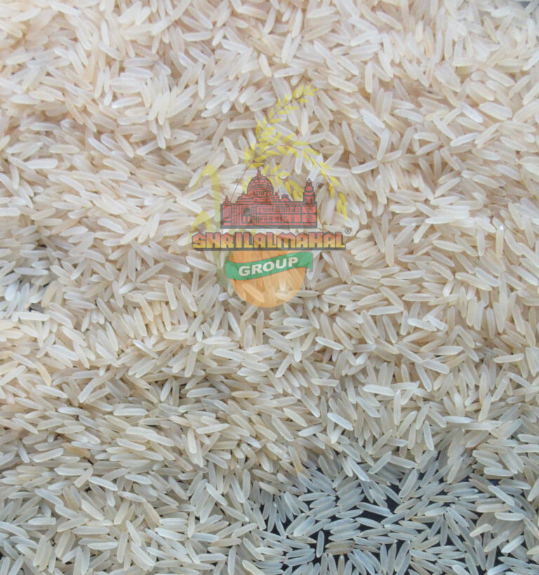 sharbati golden sella rice