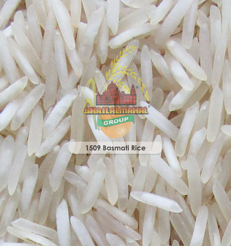 1509 Basmati Rice Exporters