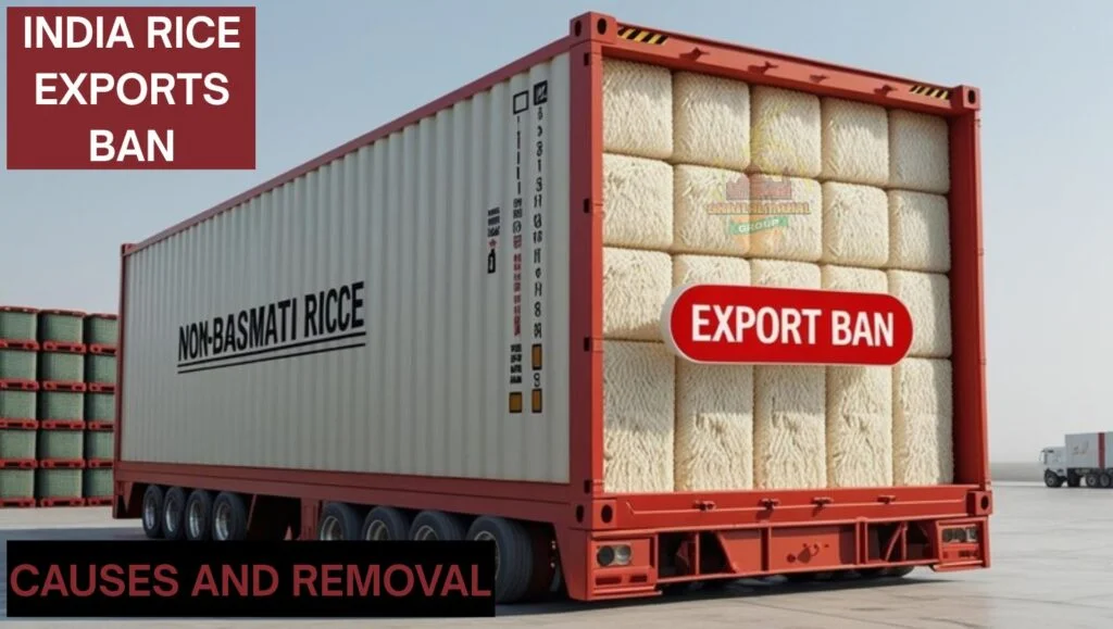 india rice exports ban