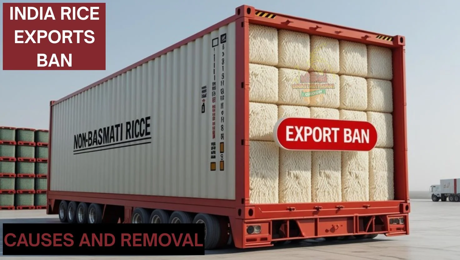 india rice exports ban