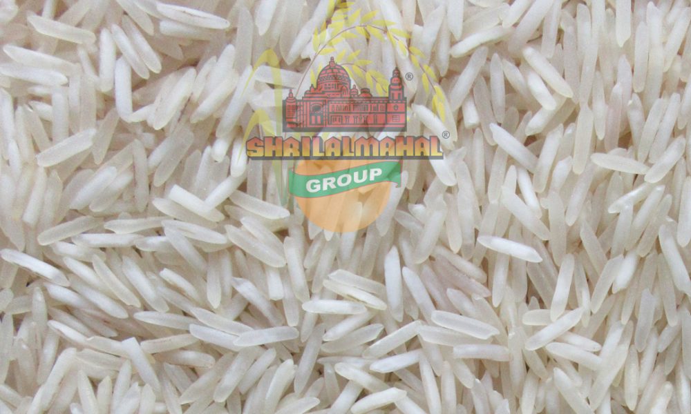 1509 steam basmati rice 1509 steam basmati rice